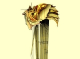 Offizielle Artworks
