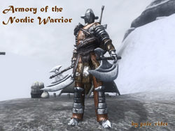 Nordic Warrior