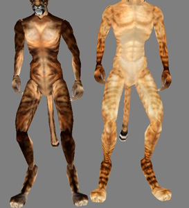 Khajiit